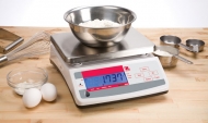 ���������� ���� OHAUS Valor 1000 V11P15 15 �� � 2 � � ��������