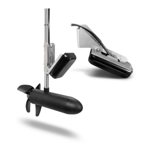 ������ Garmin Panoptix PS31 �� ������������