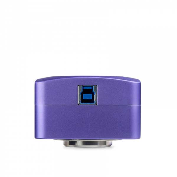 ������ �������� MAGUS CBF10