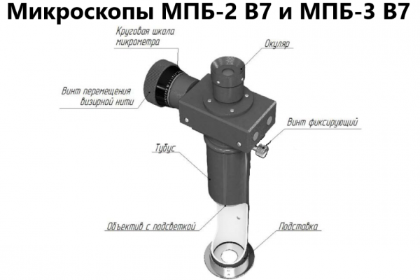 ���-3 �7 ��������� ��������� �������� (40X ����������) � ��������